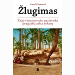 Žlugimas
