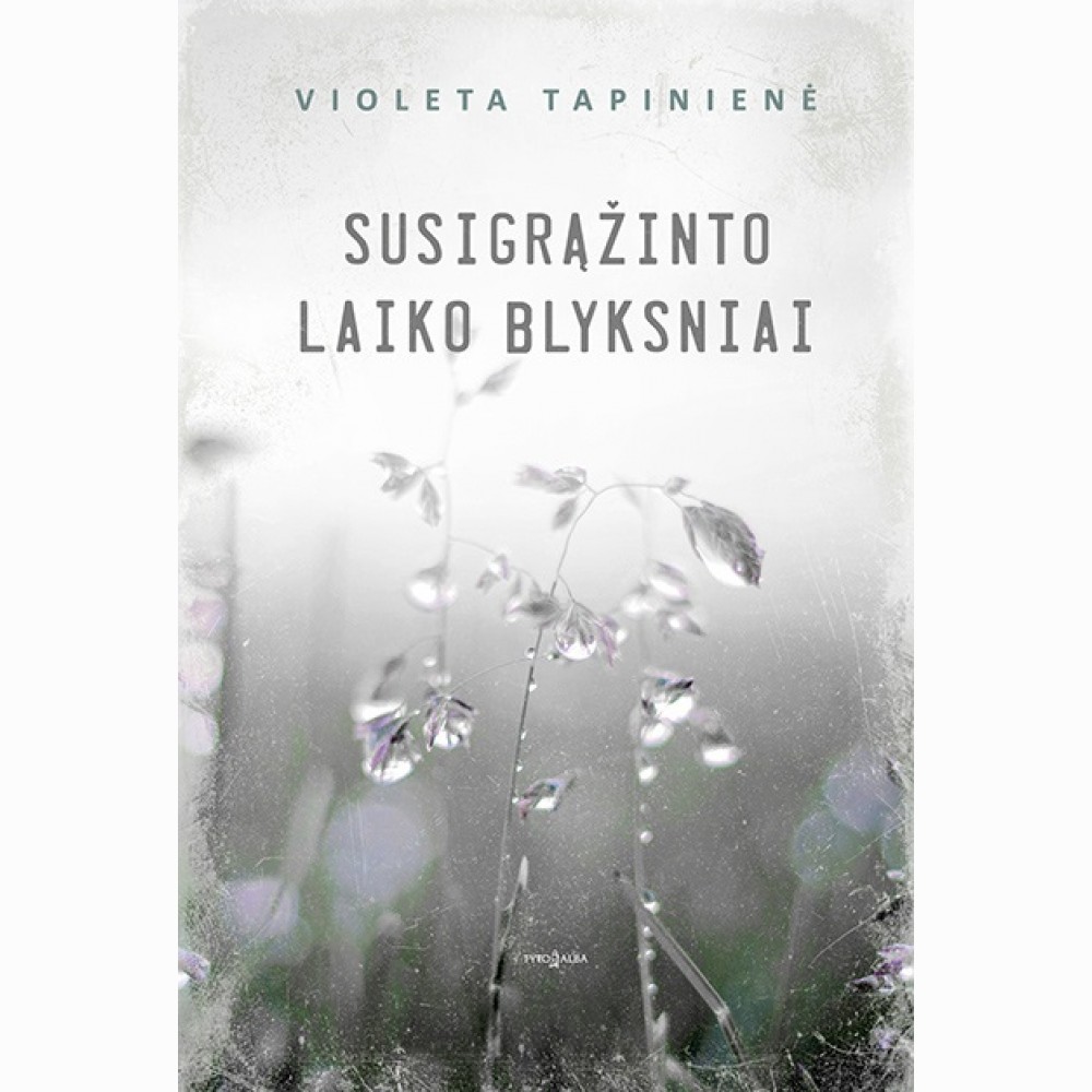Susigrąžinto laiko blyksniai