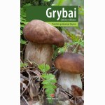 Grybai Lietuvos miškuose