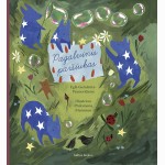 Pagalvinis paršiukas