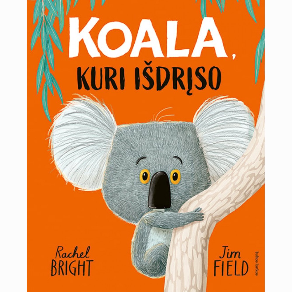 Koala, kuri išdrįso