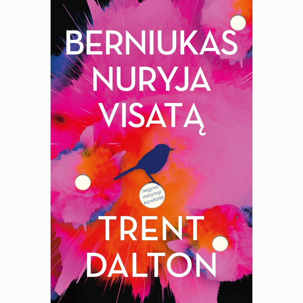 Berniukas nuryja visatą