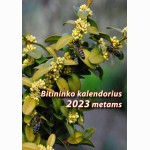 Bitininko kalendorius 2023 m.