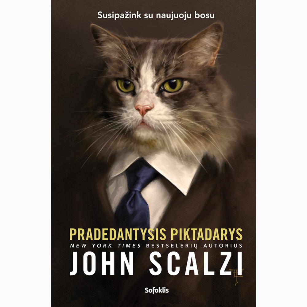 Pradedantysis piktadarys