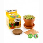 Burbulinio augalo auginimo rinkinys RADIS et CAPUCINE