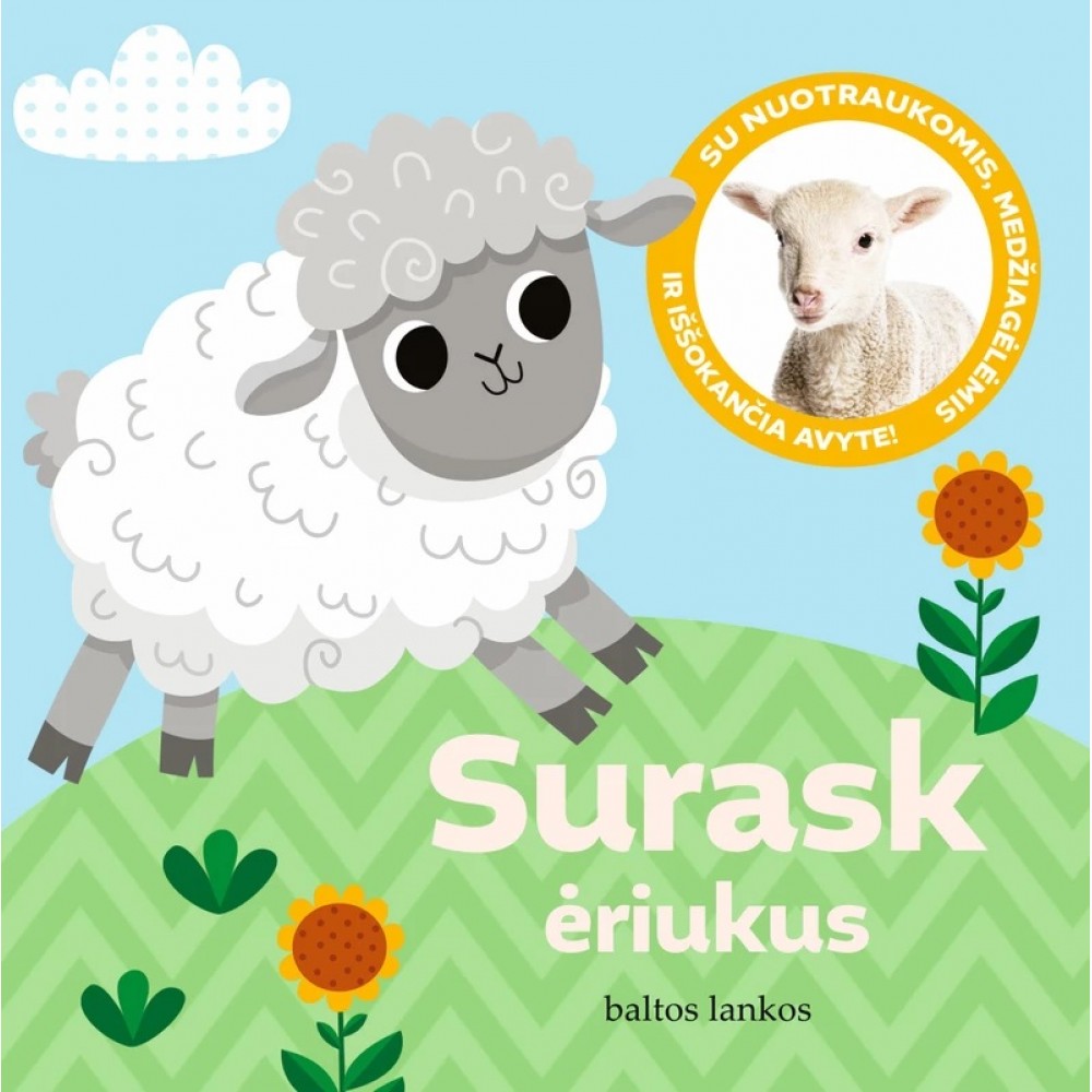 Surask ėriukus. Su nuotraukomis, medžiagėlėmis ir iššokančia avyte!