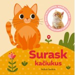 Surask kačiukus. Su nuotraukomis, medžiagėlėmis ir iššokančiu katinėliu!