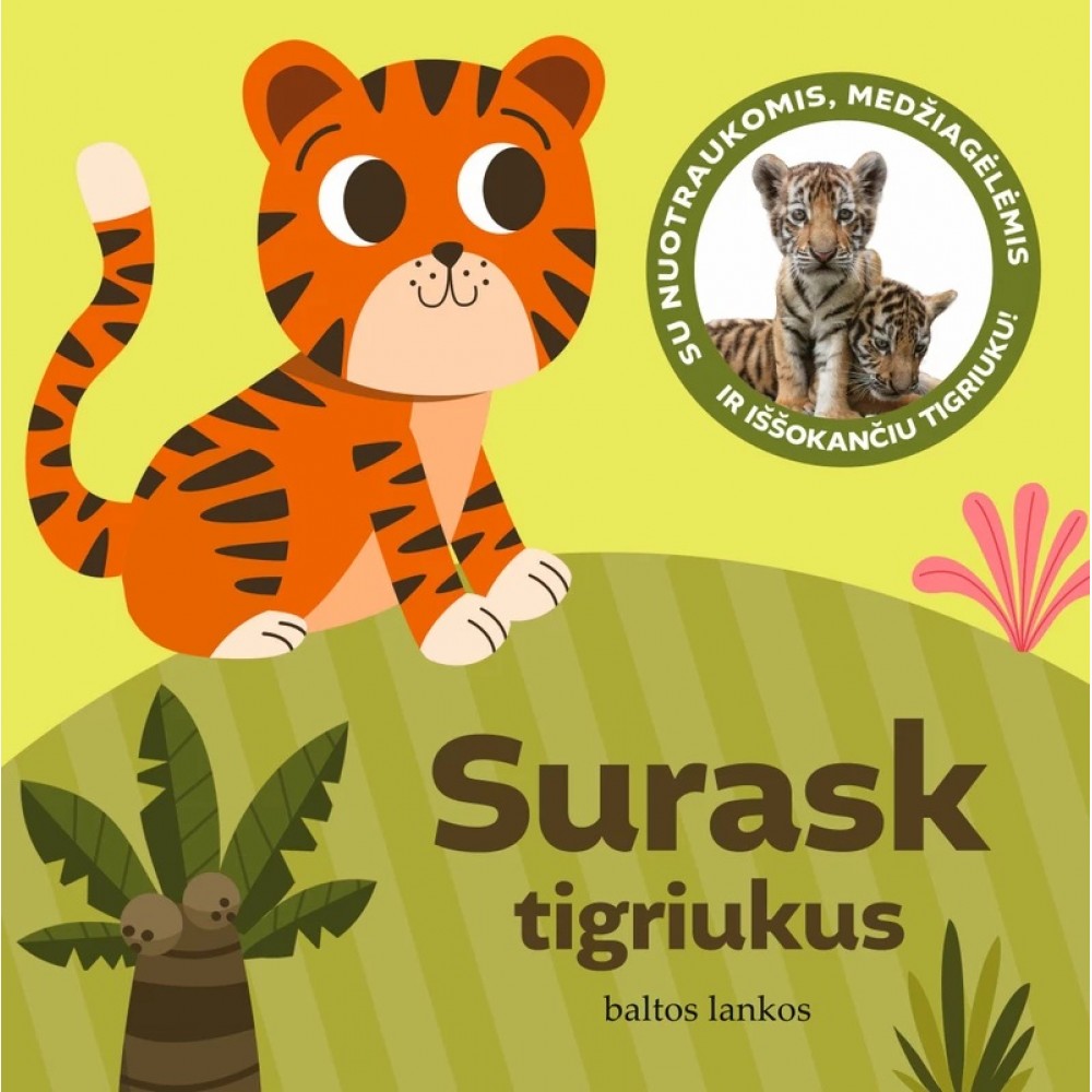 Surask tigriukus. Su nuotraukomis, medžiagėlėmis ir iššokančiu tigriuku!