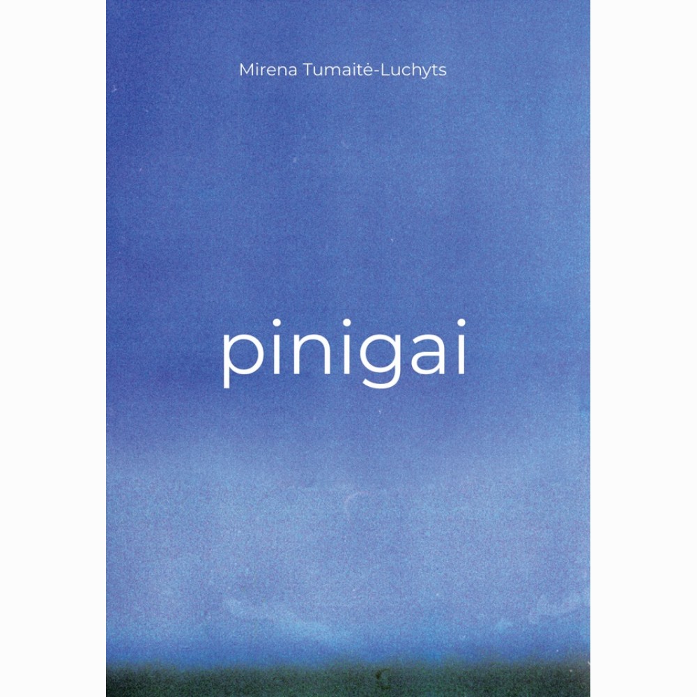 Pinigai. Mūsų santykis su pinigais ir jį lemiančios nuostatos