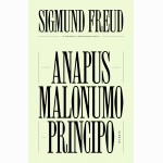 Anapus malonumo principo