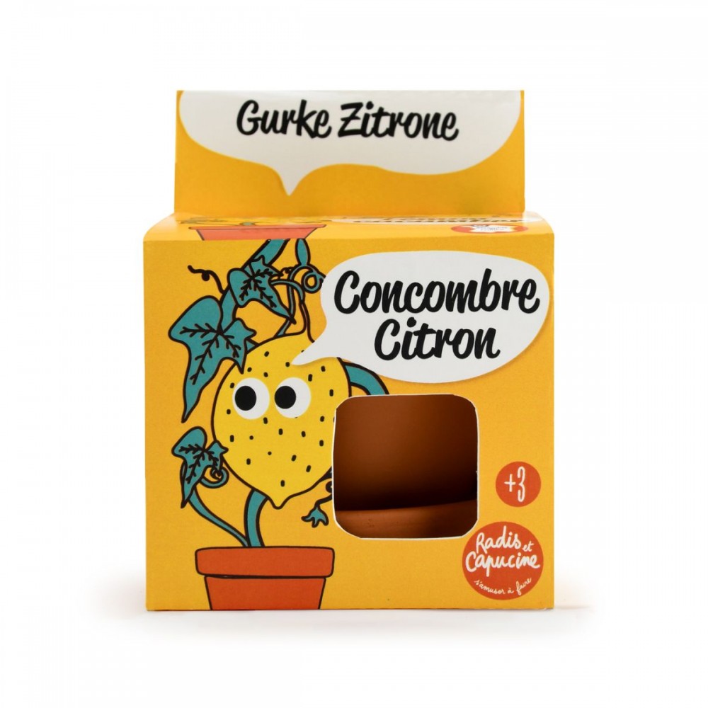 Auginimo rinkinys vaikams RADIS ET CAPUCINE Citrininis agurkas