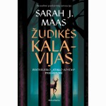 Žudikės kalavijas. Serijos „Stiklo sostas“ priešistorė