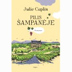 Pilis Šampanėje