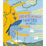 Dienos drugelis, nakties drugelis