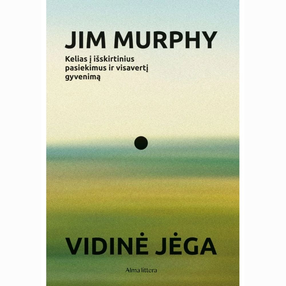 Vidinė jėga