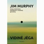 Vidinė jėga