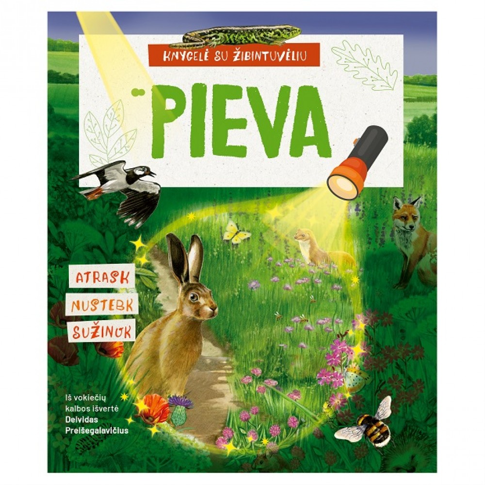 Pieva