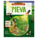 Pieva
