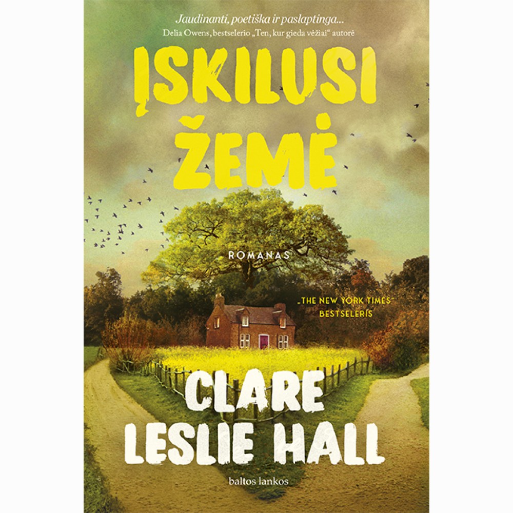 Įskilusi žemė