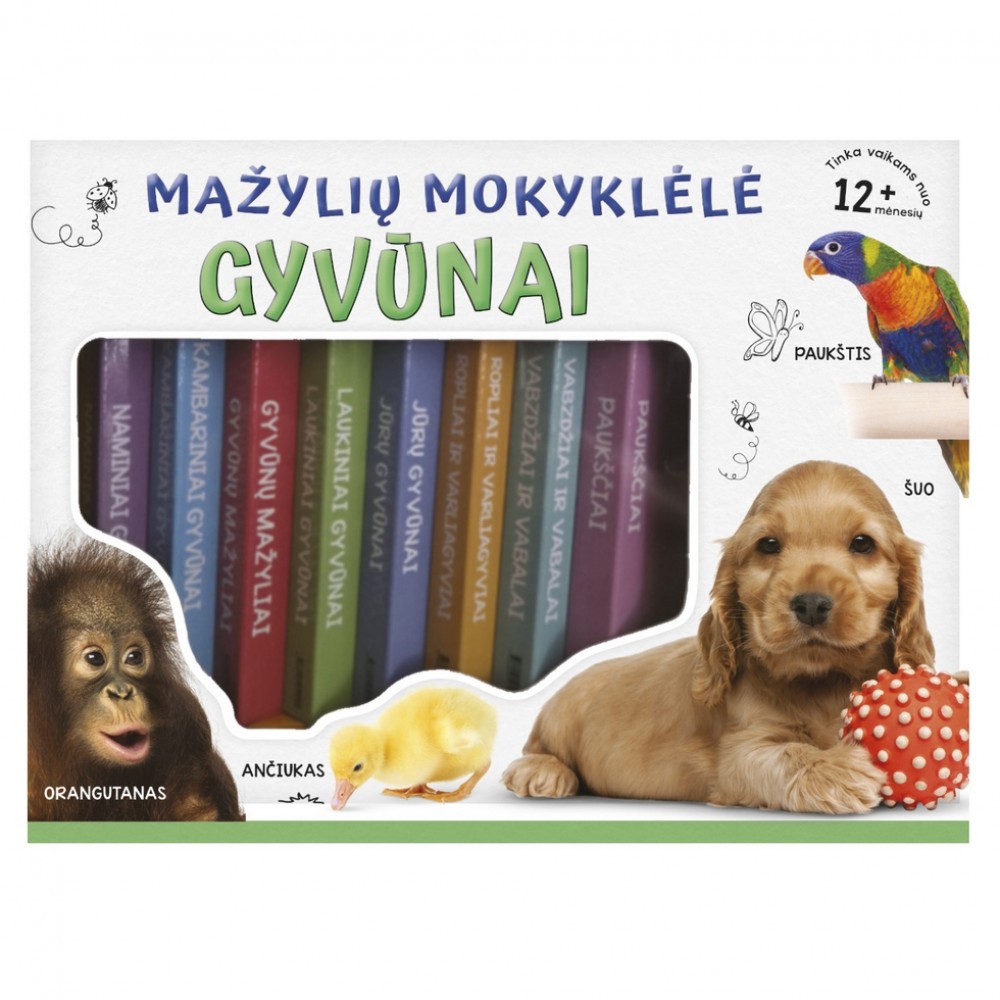 Mažylių mokyklėlė: Gyvūnai