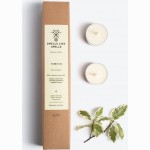 Kvapiosios žvakutės NORNS, 6 vnt.