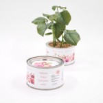 Augantis linkėjimas Mociutei (didele)