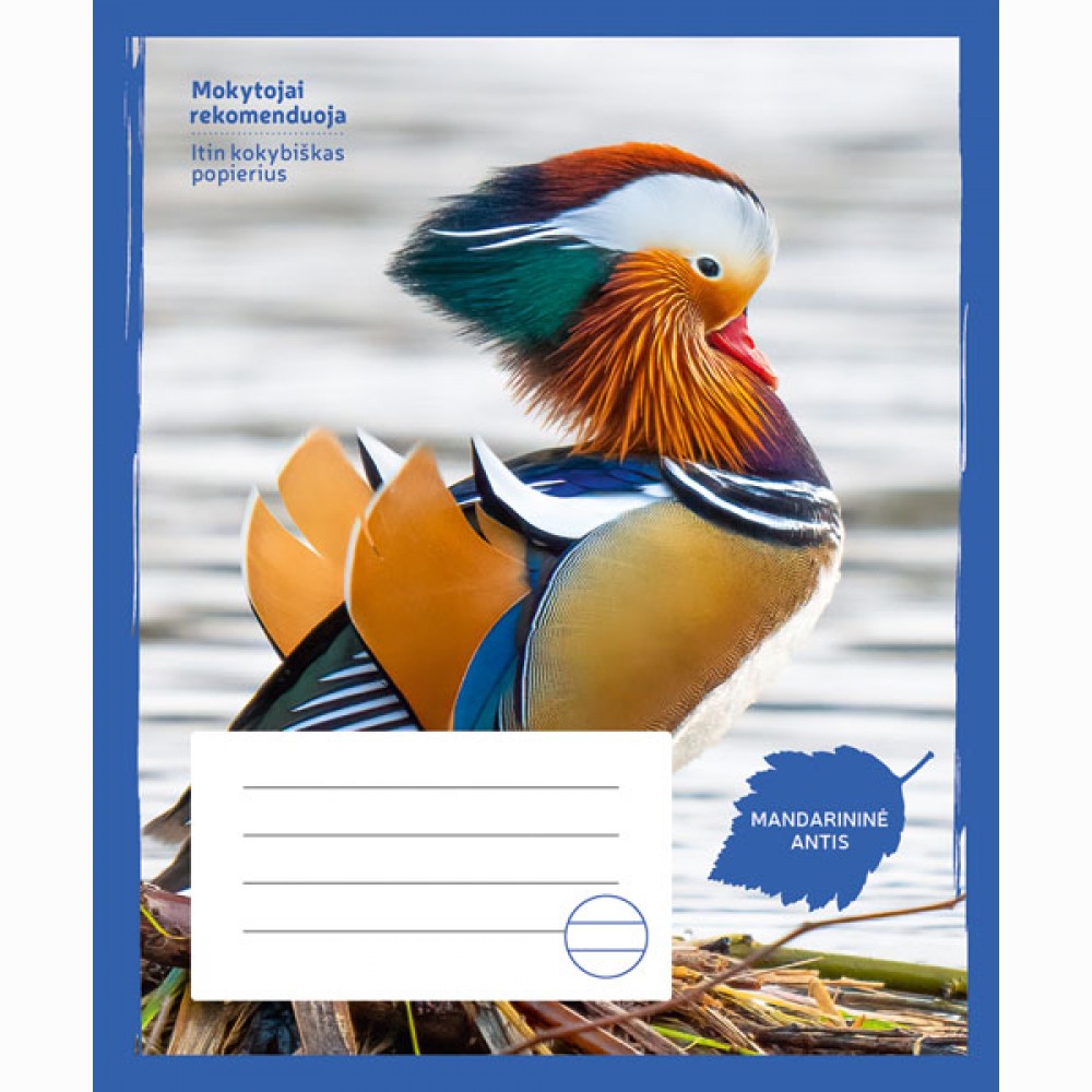 Sąsiuvinis Mandarininė antis, 24 l., linijomis