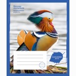 Sąsiuvinis Mandarininė antis, 24 l., linijomis