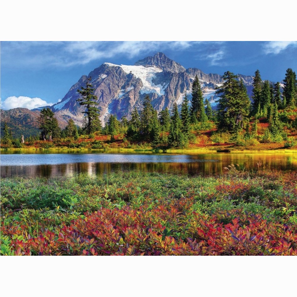 Kal. 2025 trijų dalių Premium /4 rūšys/