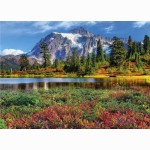 Kal. 2025 trijų dalių Premium /4 rūšys/