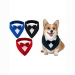 PUOŠNI APYKAKLE SU VARLYTE ŠUNIUI