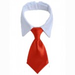 PUOŠNI APYKAKLĖ SU KAKLARAIŠČIU ŠUNIUI (RAUDONAS)