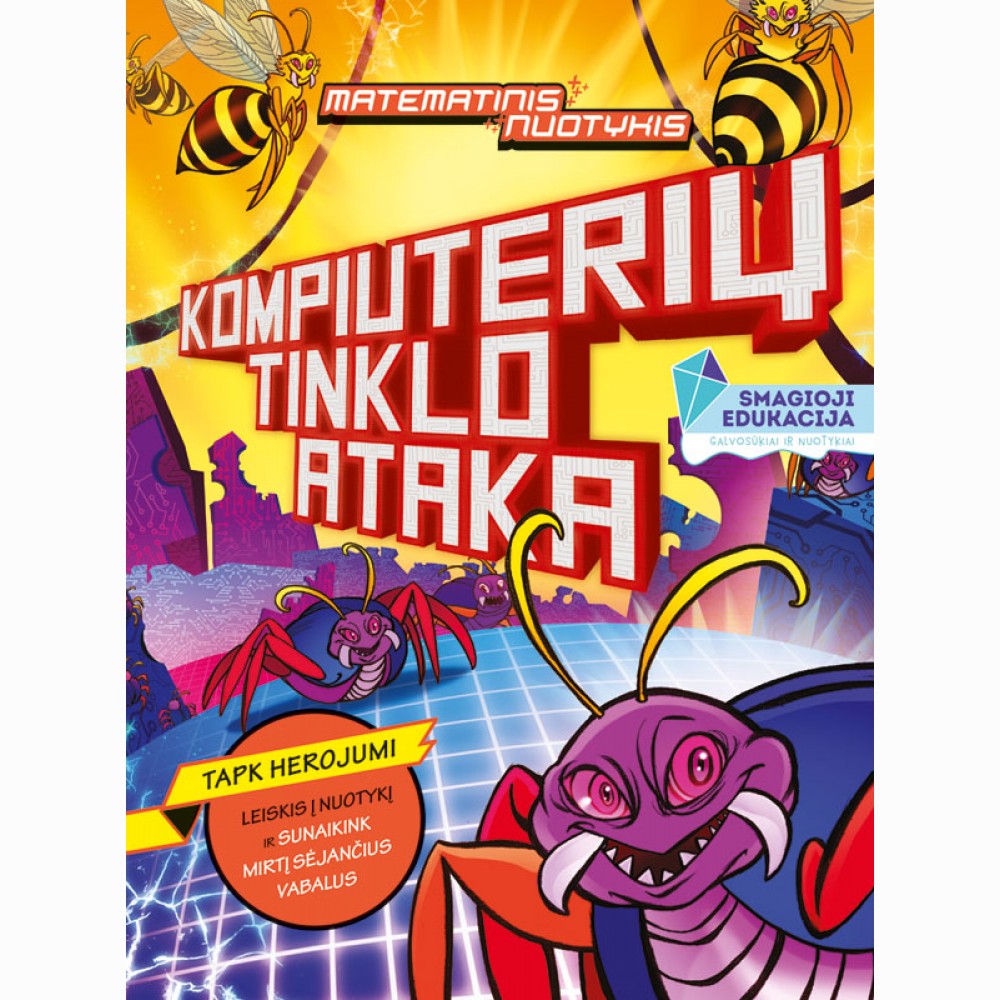 Kompiuterių tinklo ataka. Matematinis nuotykis.