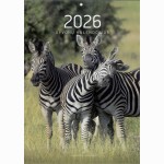 Kalendorius sieninis