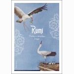 Išminties ir meilės knyga