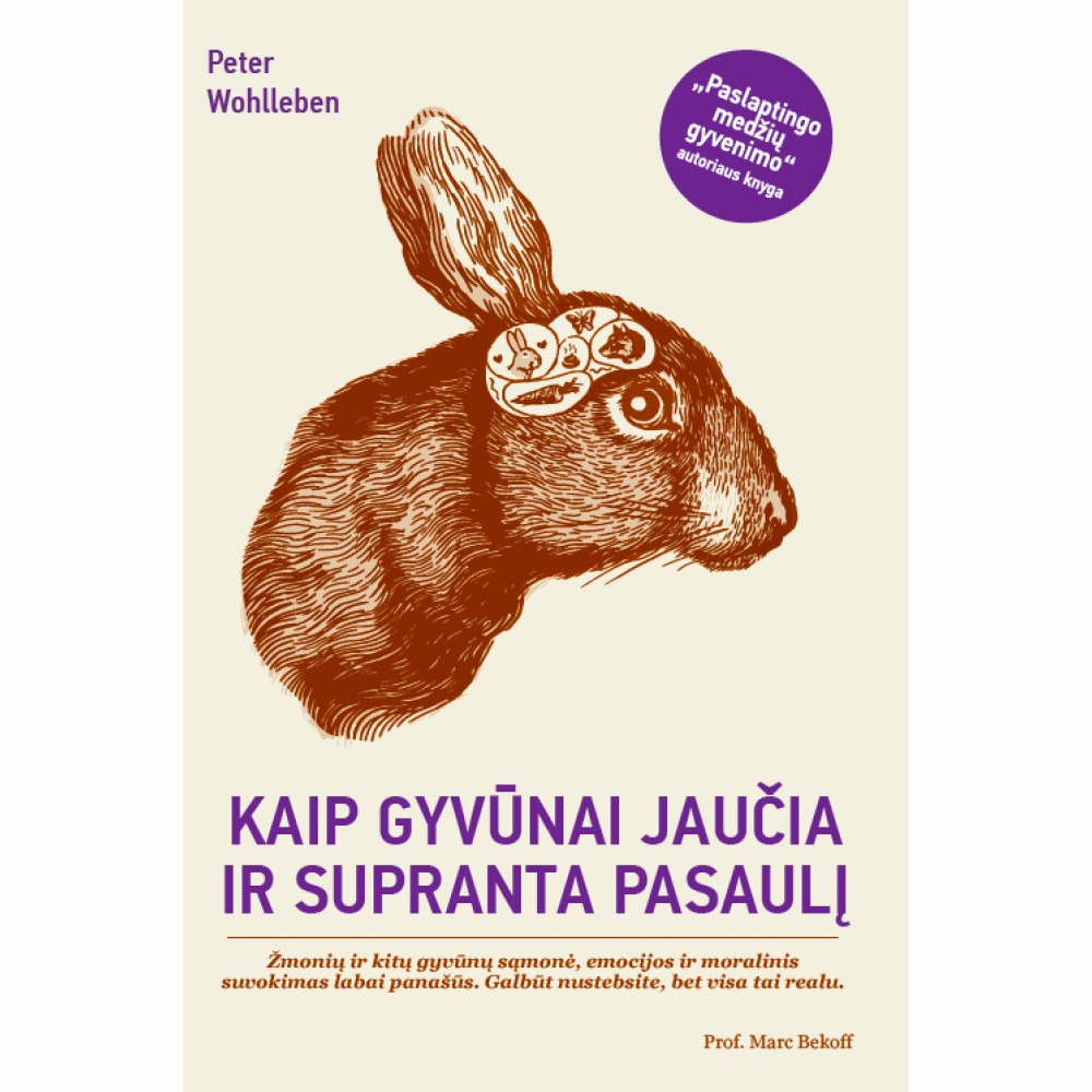 Kaip gyvūnai jaučia ir supranta pasaulį 