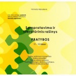 Samprotavimo ir literatūrinis rašinys. Pratybos 11-12 klasei
