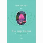 Kur auga lotosai. Kančios permainymo menas 