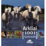 Arkliai 1001nuotrauka 