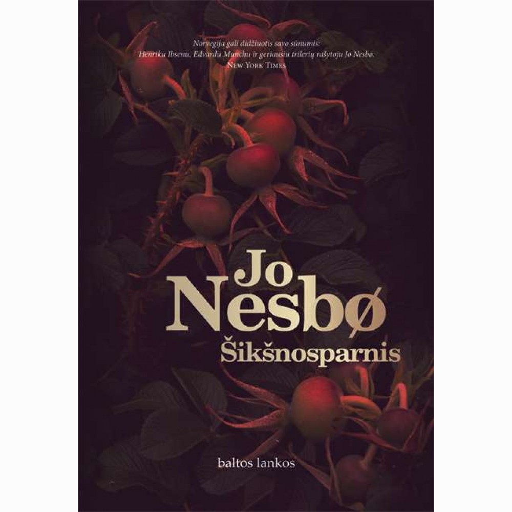 Šikšnosparnis. Detektyvas Haris Hūlė. 1 knyga