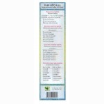 Paruoštukas. Rusų (užsienio) k. 9 kl. 