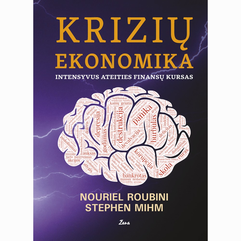 KRIZIŲ EKONOMIKA: intensyvus ateities finansų kursas  