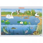 Plakatas mok.priemonė Ežeras 60x42 cm. 