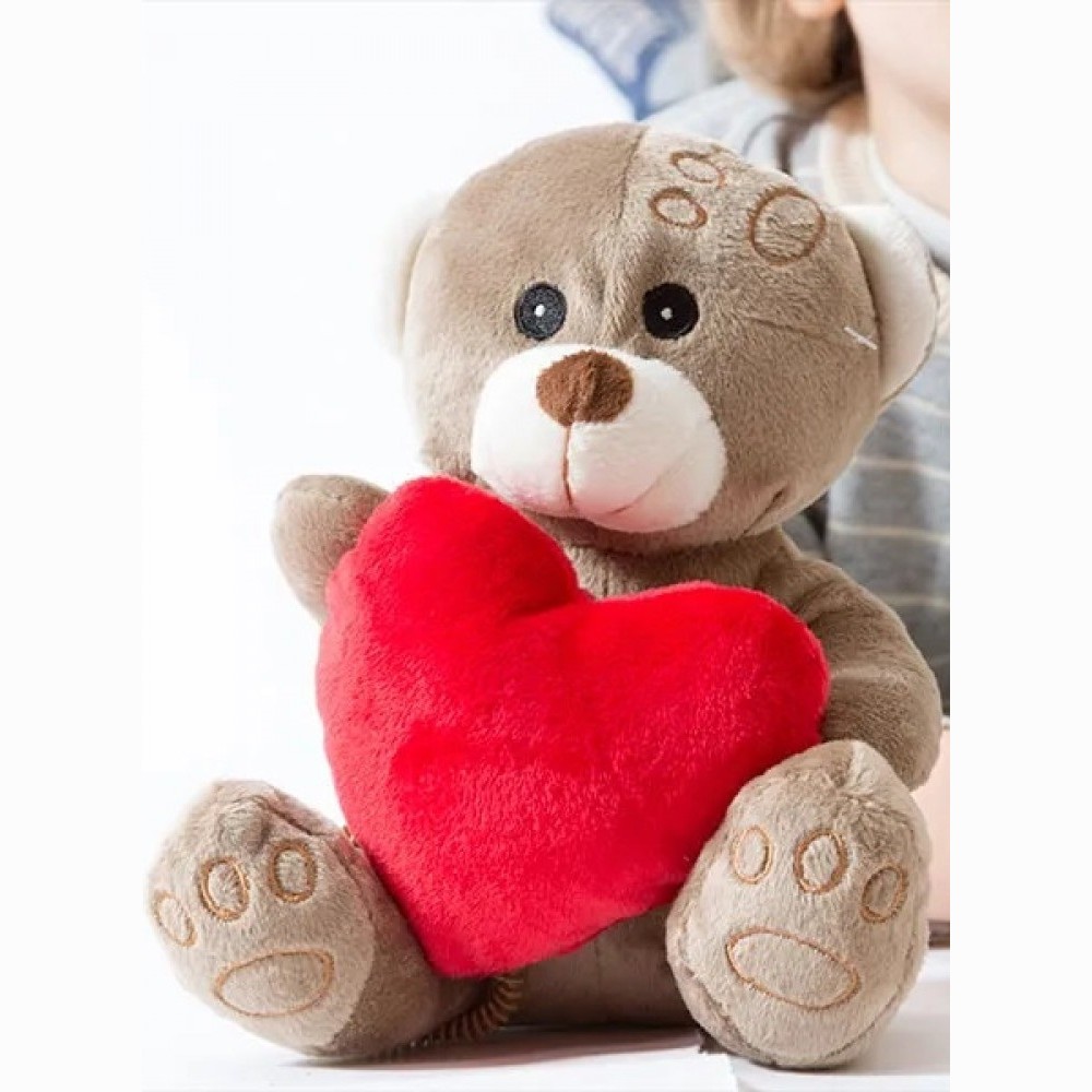 Pliušinis meškiukas su širdele