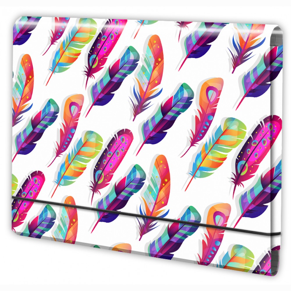 Aplankas kartoninis sąsiuviniams A4 su guma Plunksnos