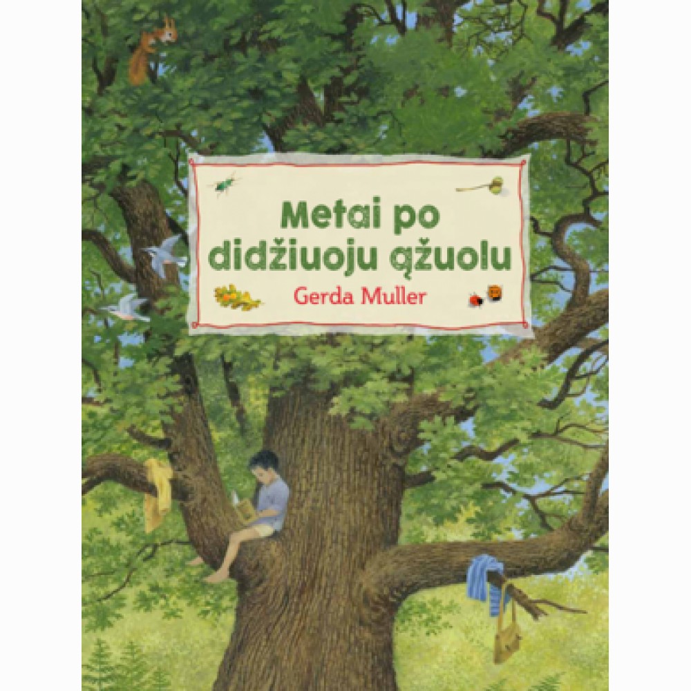 Metai po didžiuoju ąžuolu
