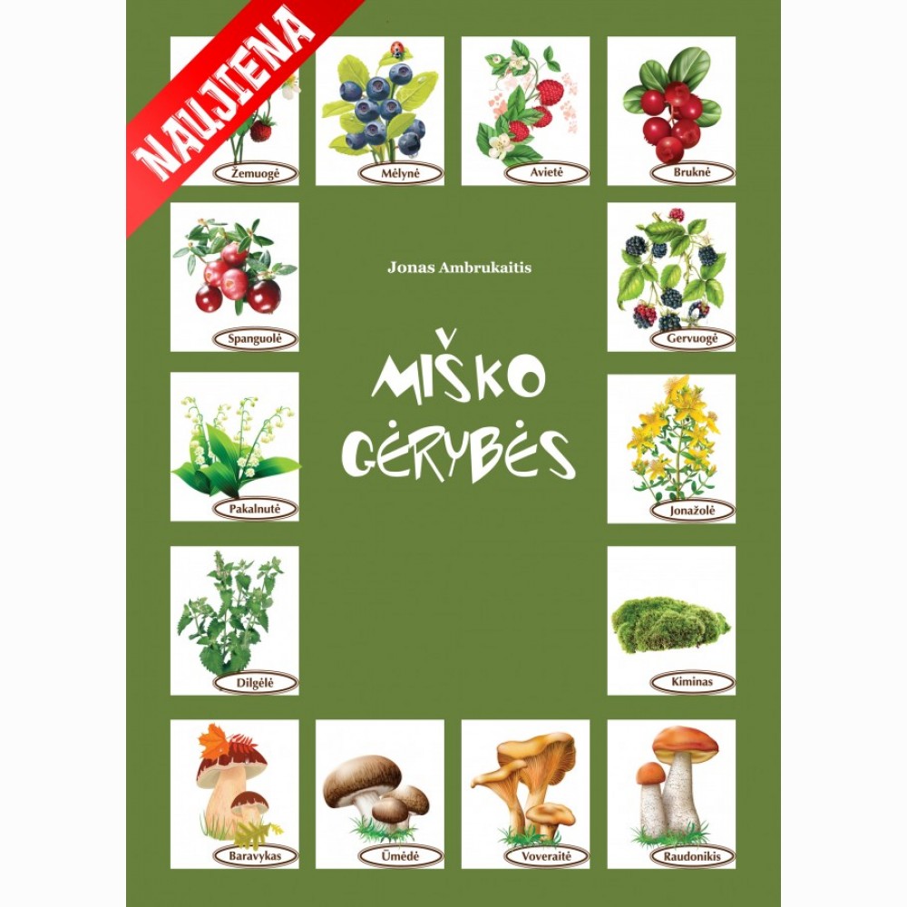 Miško gėrybės Miško gėrybės