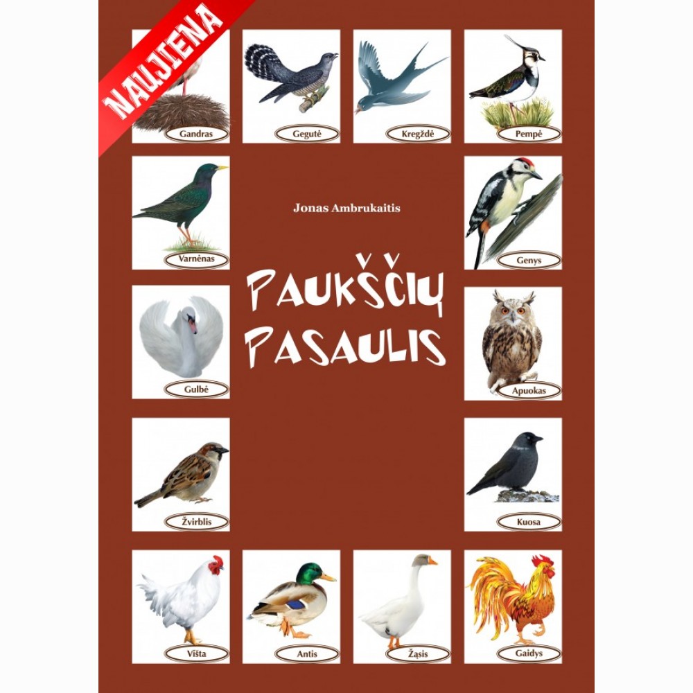 Paukščių pasaulis Paukščių pasaulis