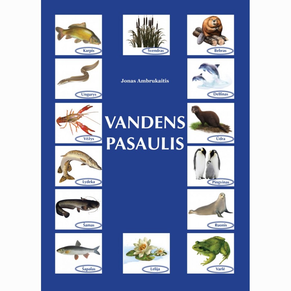 Vandens pasaulis Vandens pasaulis