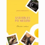 Asiliukas po medžiu